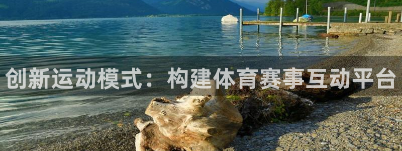 东升国际官网首页登录入口：创新运动模式：构建体育赛事互动平台