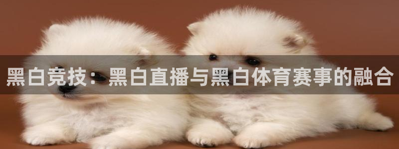 东升国际app入口：黑白竞技：黑白直播与黑白体育赛事的融合