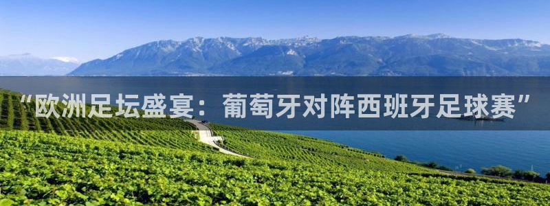东升国际网页是多少：“欧洲足坛盛宴：葡萄牙对阵西班牙足球赛”
