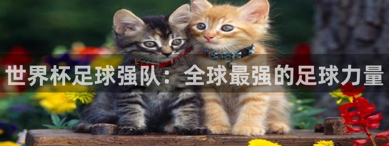 东升国际.www：世界杯足球强队：全球最强的足球力量