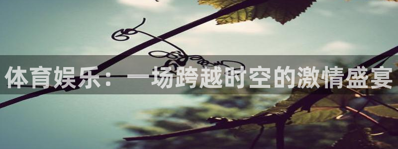 东升国际平台：体育娱乐：一场跨越时空的激情盛宴