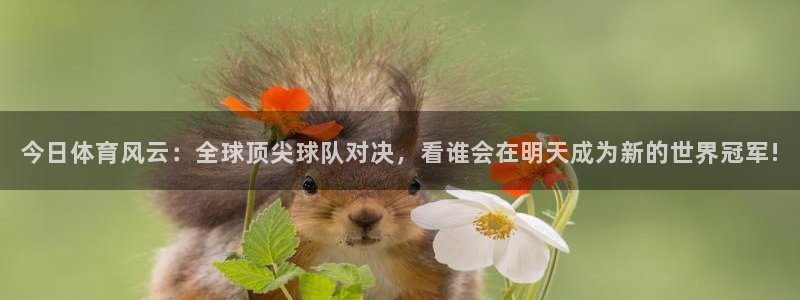 东升国际网页版地址：今日体育风云：全球顶尖球队对决，看谁会在明天成为新的世界冠军!