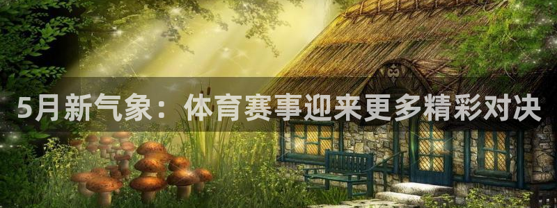 东升国际官网入口在哪里：5月新气象：体育赛事迎来更多精彩对决