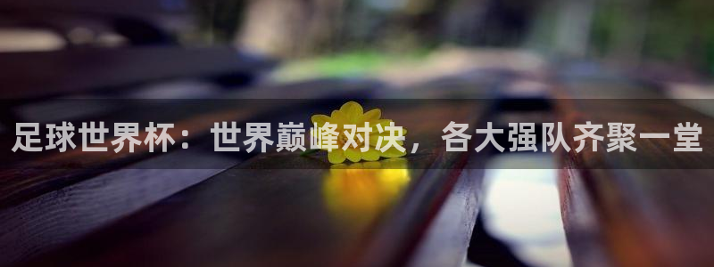 东升国际.www：足球世界杯：世界巅峰对决，各大强队齐聚一堂