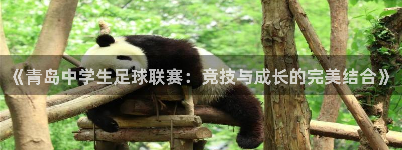 东升app官方入口：《青岛中学生足球联赛：竞技与成长的完美结合》