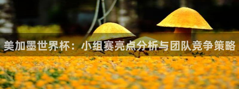 ds6cc东升国际官网入口：美加墨世界杯：小组赛亮点分析与团队竞争策略