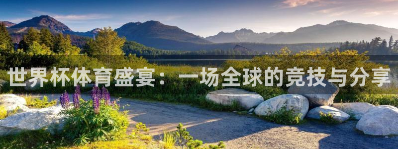 东升国际66856官网下载：世界杯体育盛宴：一场全球的竞技与分享