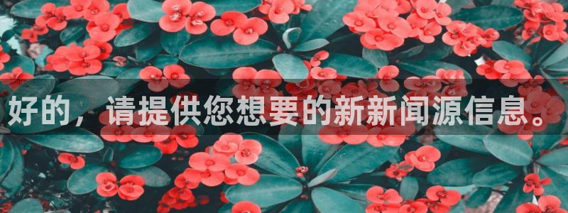 东升国际官方网站入口：好的，请提供您想要的新新闻源信息。