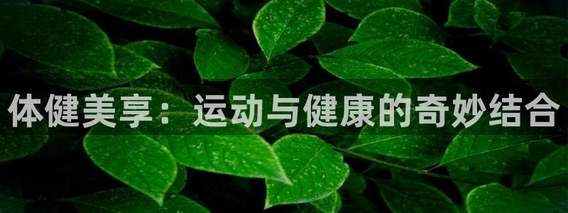 东升国际app手机版下载入口：体健美享：运动与健康的奇妙结合