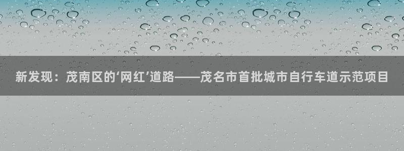 东升国际官网入口在哪里：新发现：茂南区的‘网红’道路——茂名市首批城市自行车道示范项目