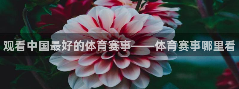东升国际pg下载安装：观看中国最好的体育赛事——体育赛事哪里看
