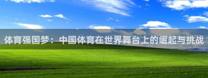 东升国际app下载安装入口pg：体育强国梦：中国体育在世界舞台上的崛起与挑战