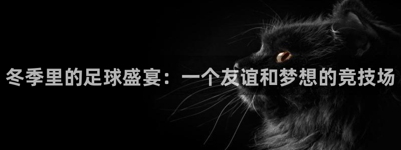 国际东升pg官网注册入口：冬季里的足球盛宴：一个友谊和梦想的竞技场