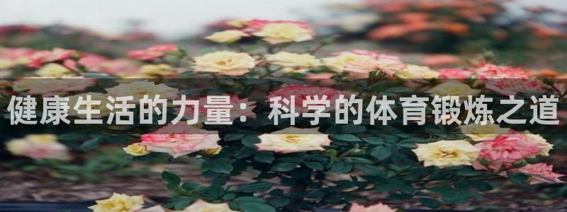 东升注册app：健康生活的力量：科学的体育锻炼之道