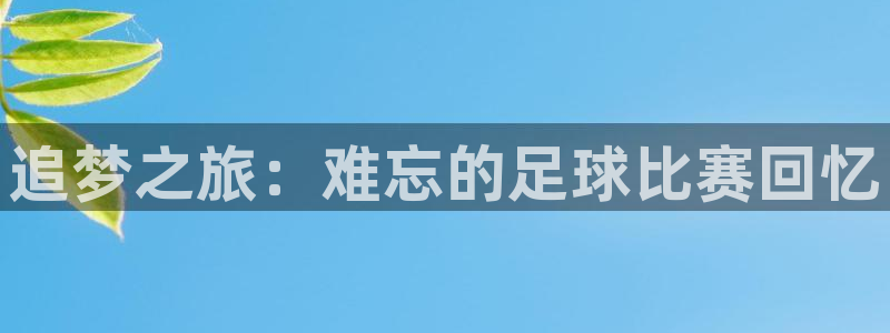 东升国际集团：追梦之旅：难忘的足球比赛回忆