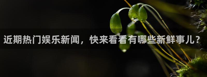 东升国际app登录：近期热门娱乐新闻，快来看看有哪些新鲜事儿？