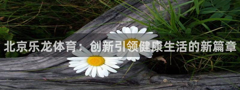 东升国际app：北京乐龙体育：创新引领健康生活的新篇章