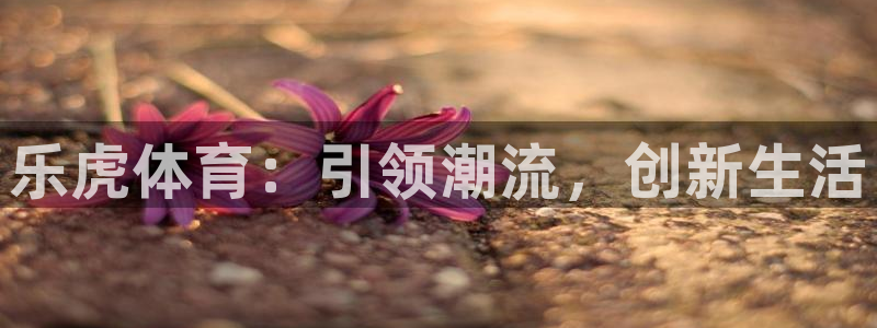 东升国际app下载入口：乐虎体育：引领潮流，创新生活