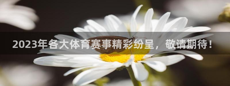 东升国际app下载地址：2023年各大体育赛事精彩纷呈，敬请期待！