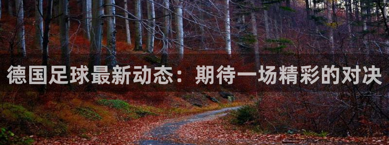 东升国际物流：德国足球最新动态：期待一场精彩的对决