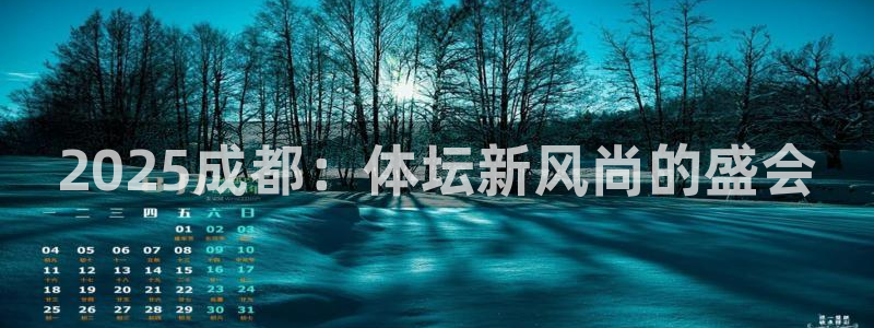 东升国际平台：2025成都：体坛新风尚的盛会